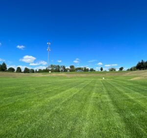 Soccer Field image 2