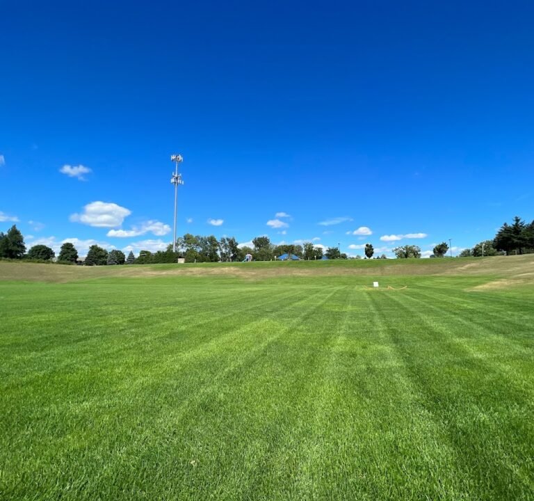 Soccer Field image 2