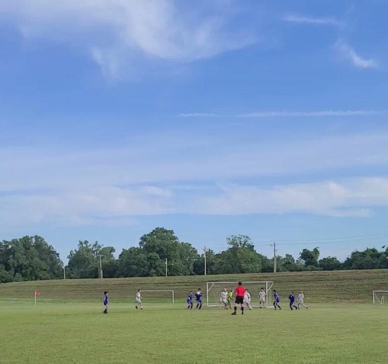 Soccer Field image 2