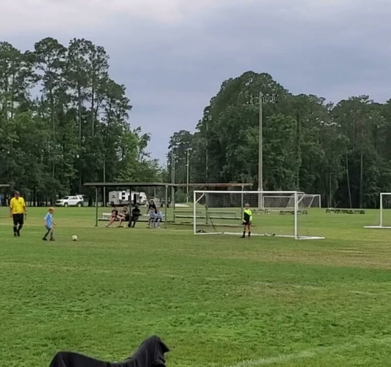 Soccer Field image 4