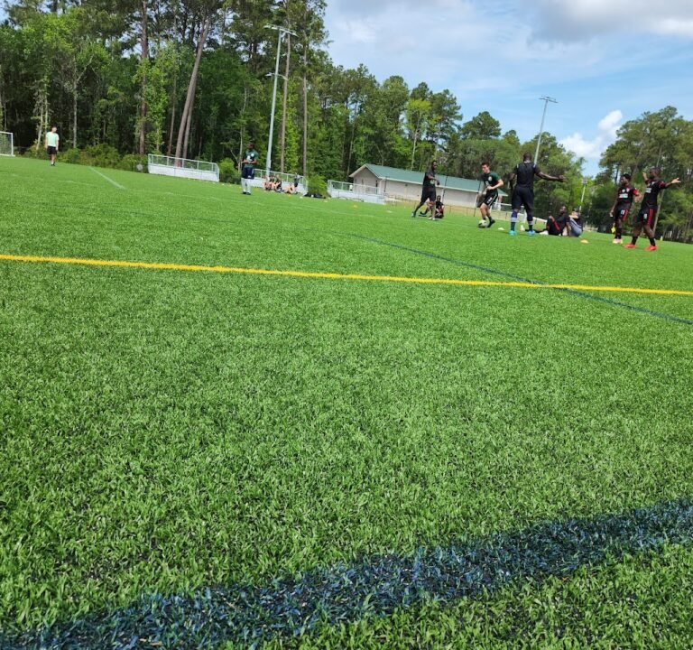 Soccer Field image 2