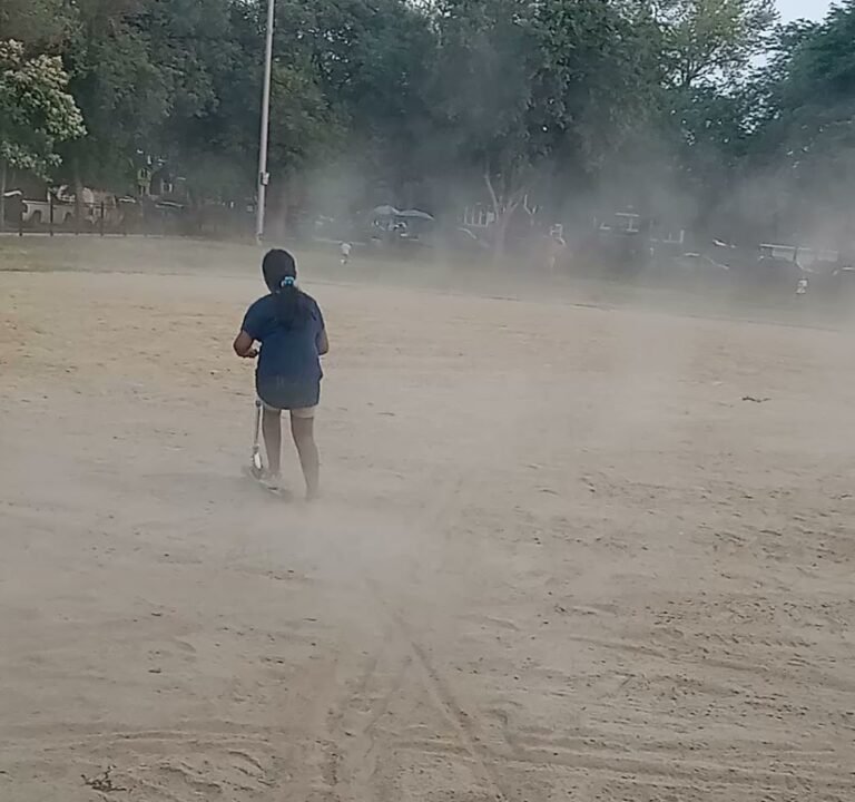 Soccer Field image 4