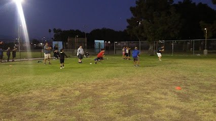 Soccer Field image 1