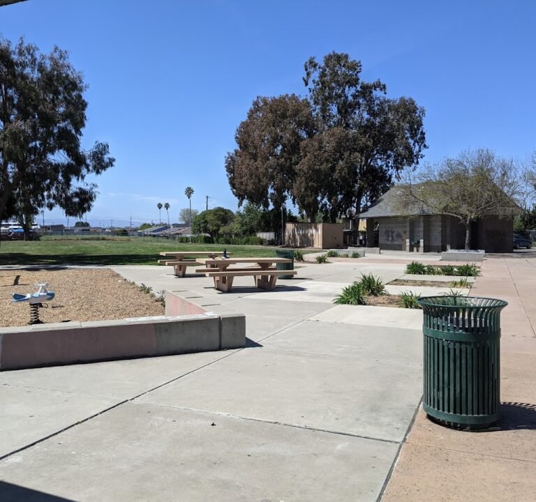 Soccer Field image 2