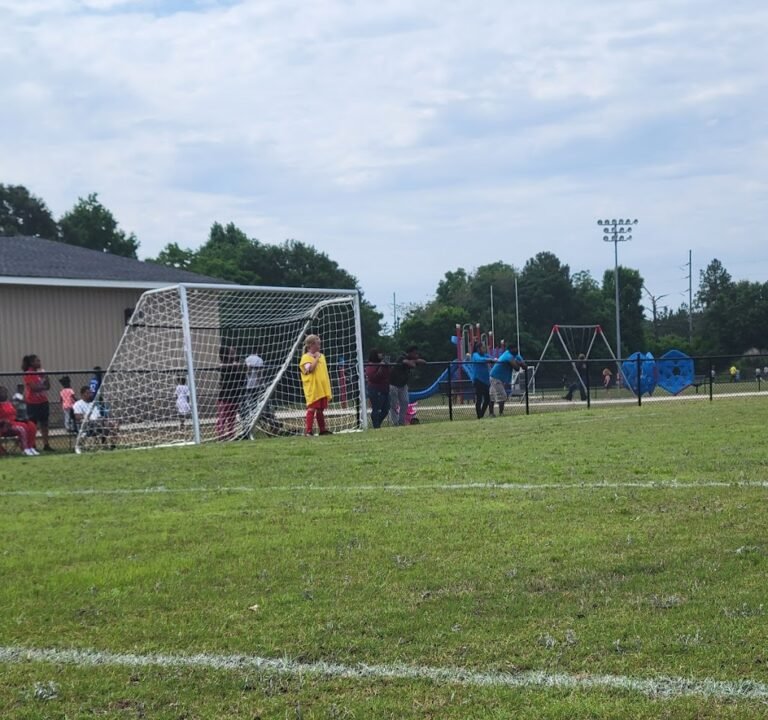 Soccer Field image 2
