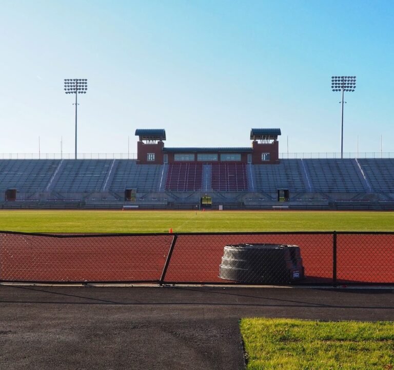 Soccer Field image 2