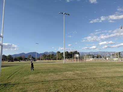 Soccer Field image 1
