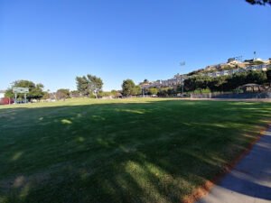 Soccer Field image 1