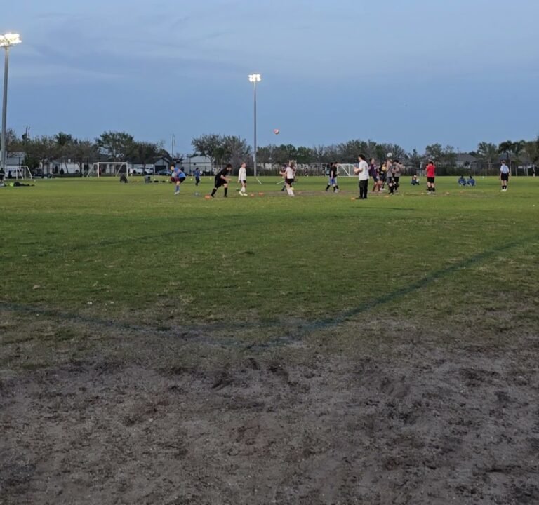 Soccer Field image 4