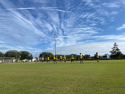 Soccer Field image 1