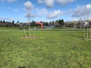 Soccer Field image 1