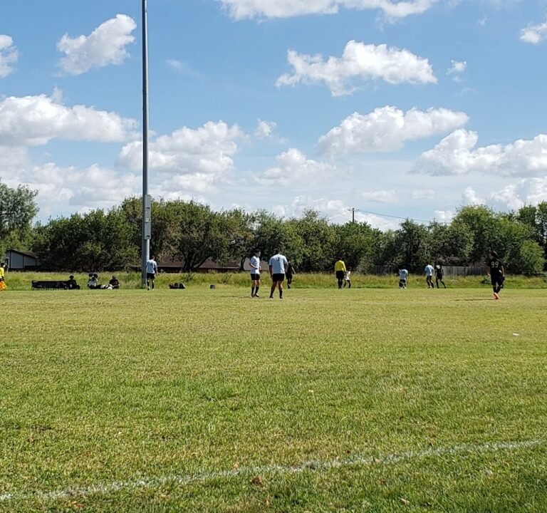 Soccer Field image 2