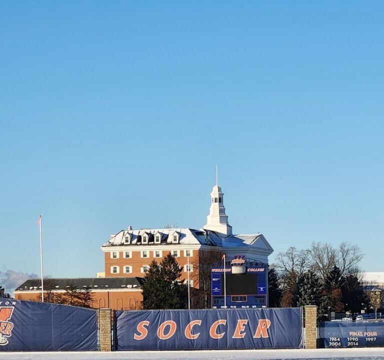 Soccer Field image 2