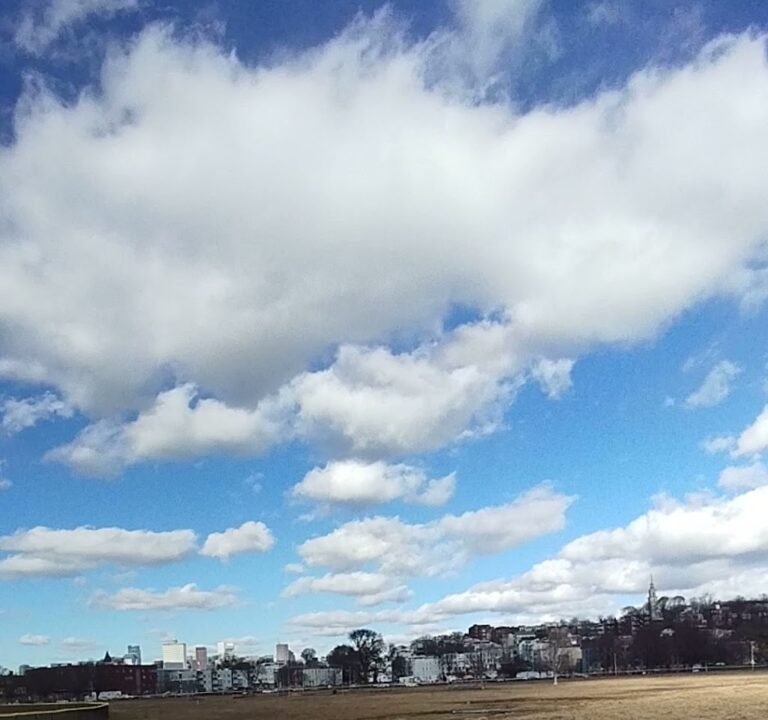 Soccer Field image 4