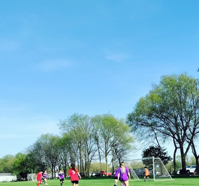 Soccer Field image 2