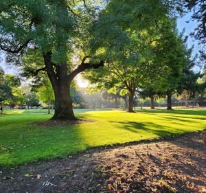 Soccer Field image 2