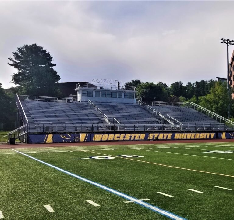 Soccer Field image 2