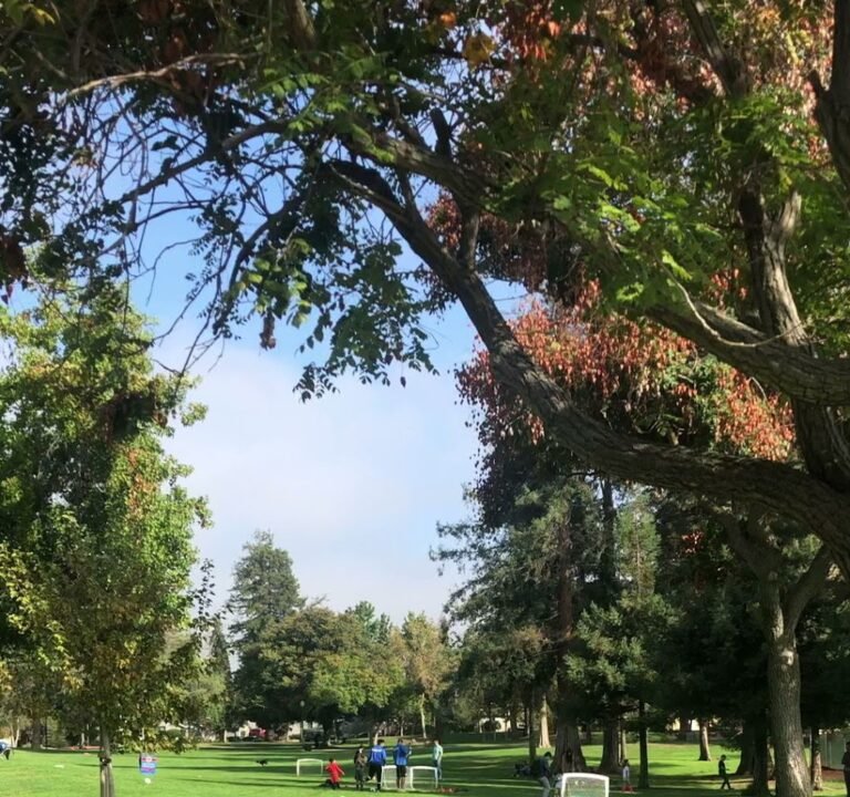 Soccer Field image 4