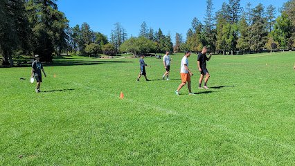 Soccer Field image 1
