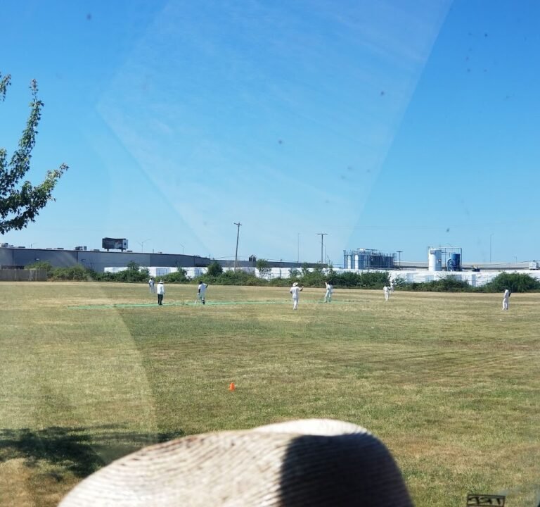 Soccer Field image 3