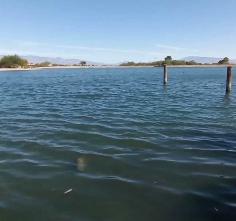 Soccer Field image 4