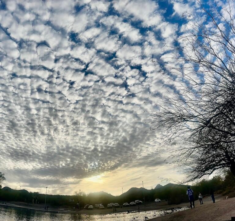 Soccer Field image 3