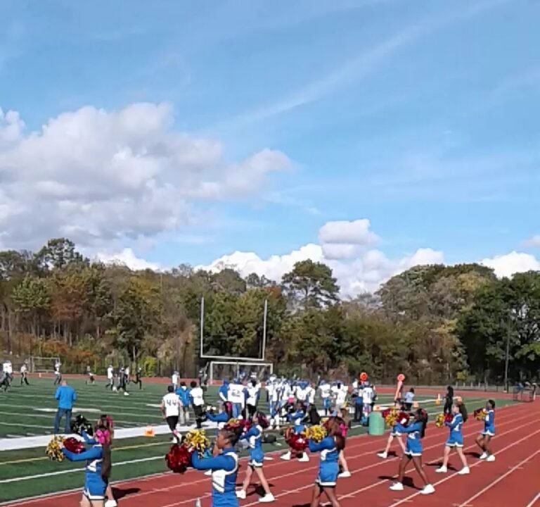 Soccer Field image 3