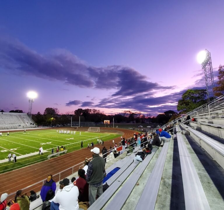 Soccer Field image 2
