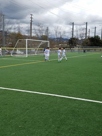 Soccer Field image 1
