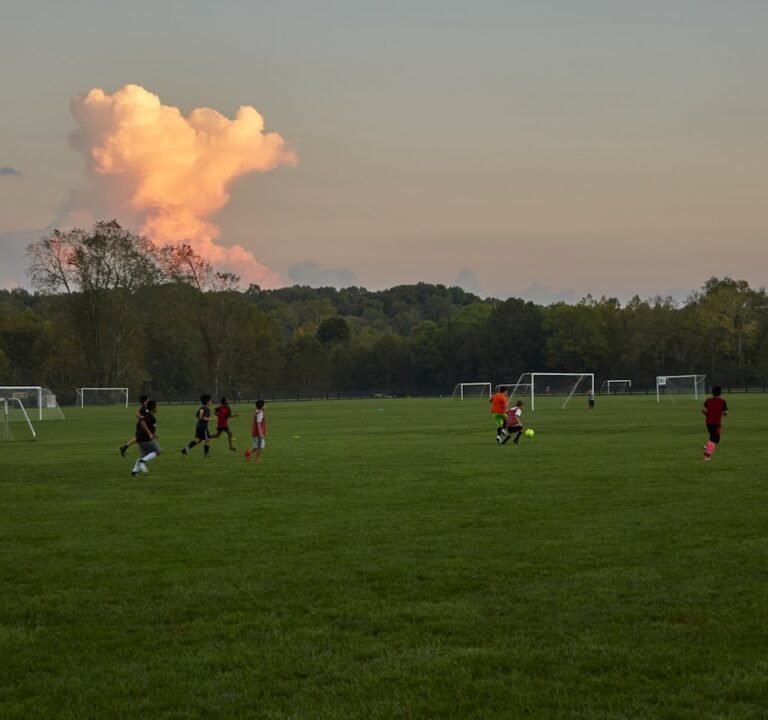 Soccer Field image 2