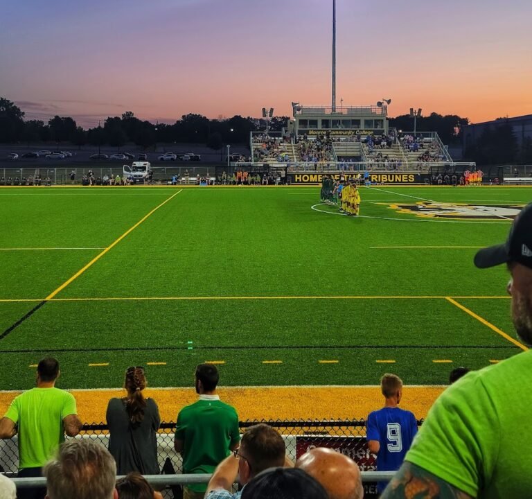 Soccer Field image 2