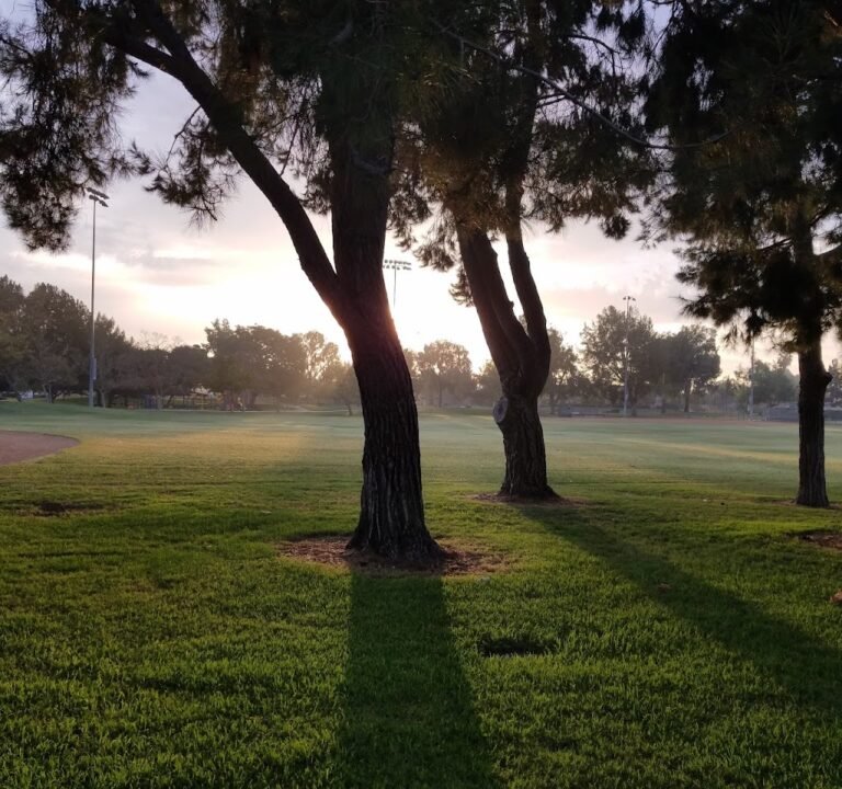 Soccer Field image 3