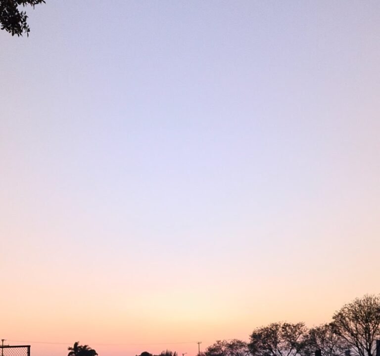 Soccer Field image 4