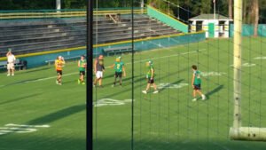 Soccer Field image 1