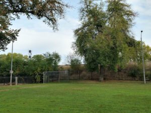 Soccer Field image 1