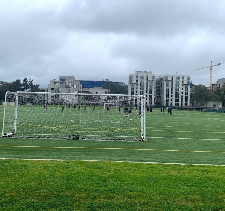 Soccer Field image 2