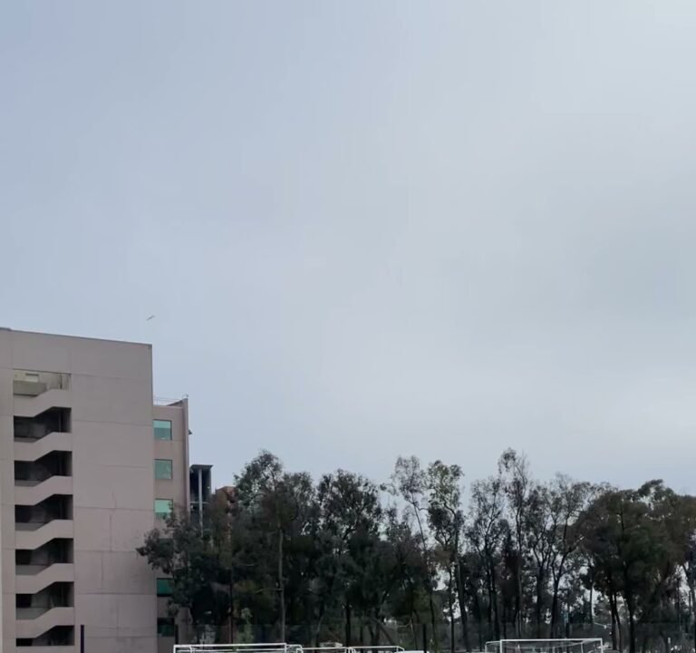 Soccer Field image 3