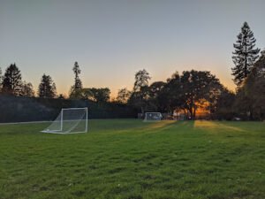 Soccer Field image 1