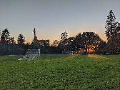 Soccer Field image 1