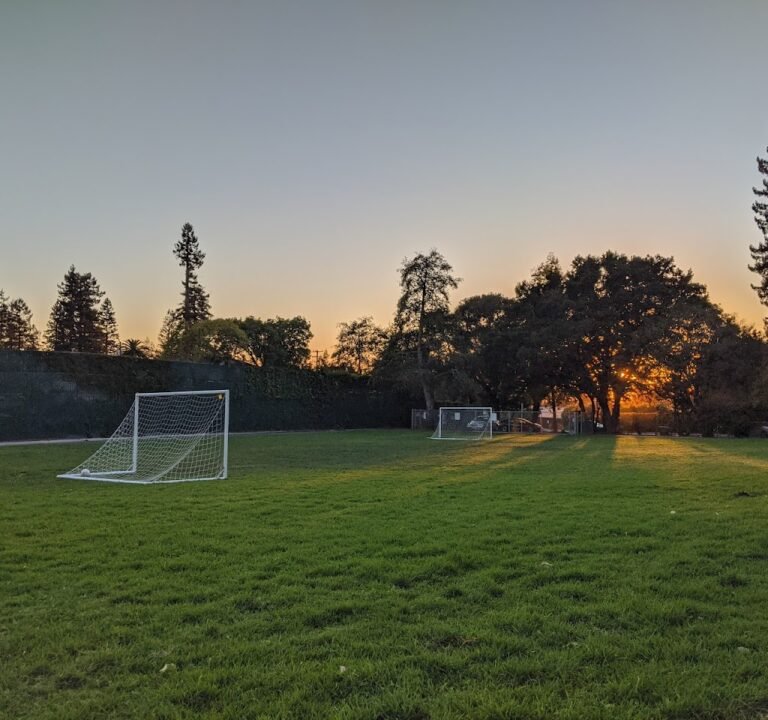 Soccer Field image 3