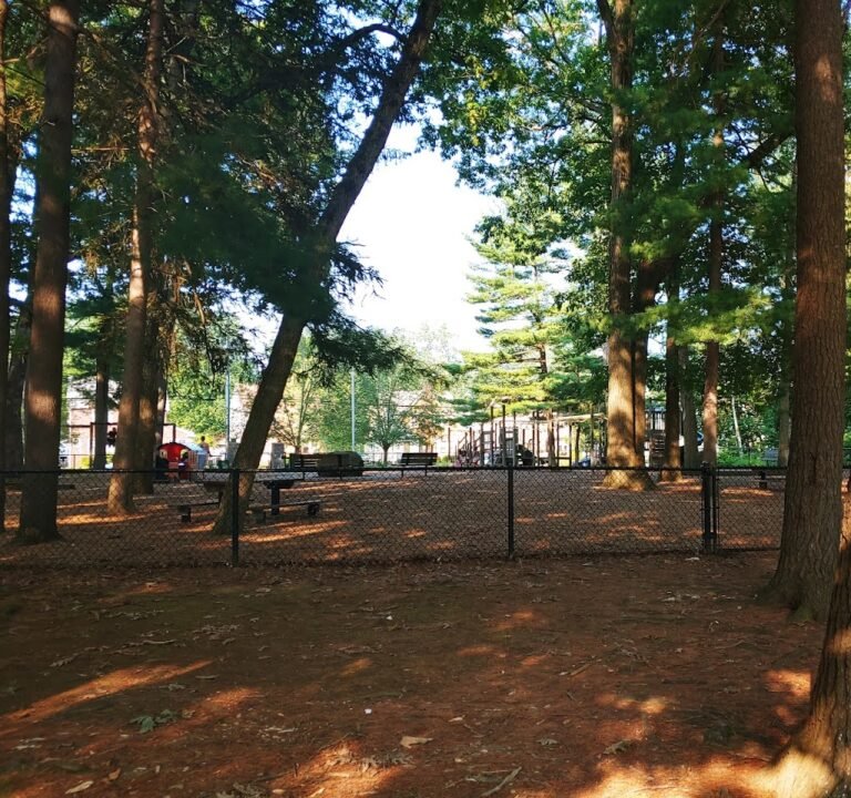 Soccer Field image 2