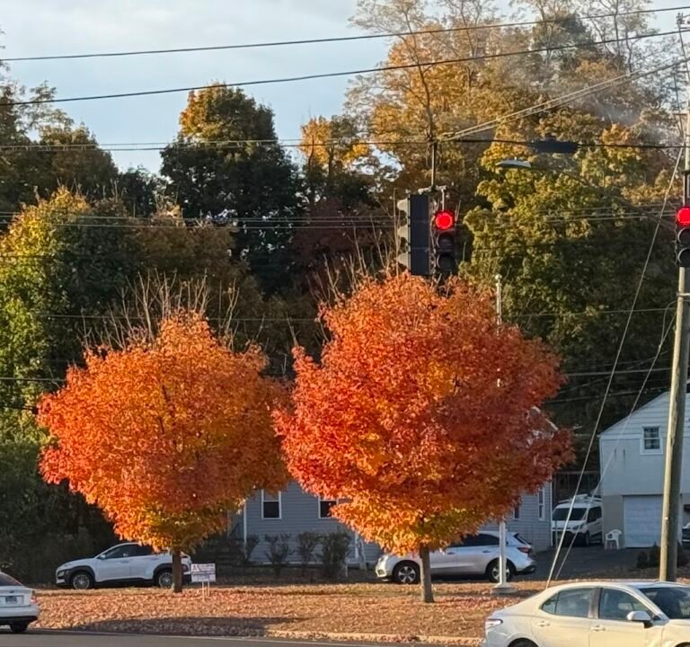 Soccer Field image 2