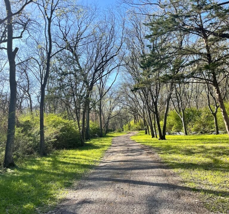 Soccer Field image 2