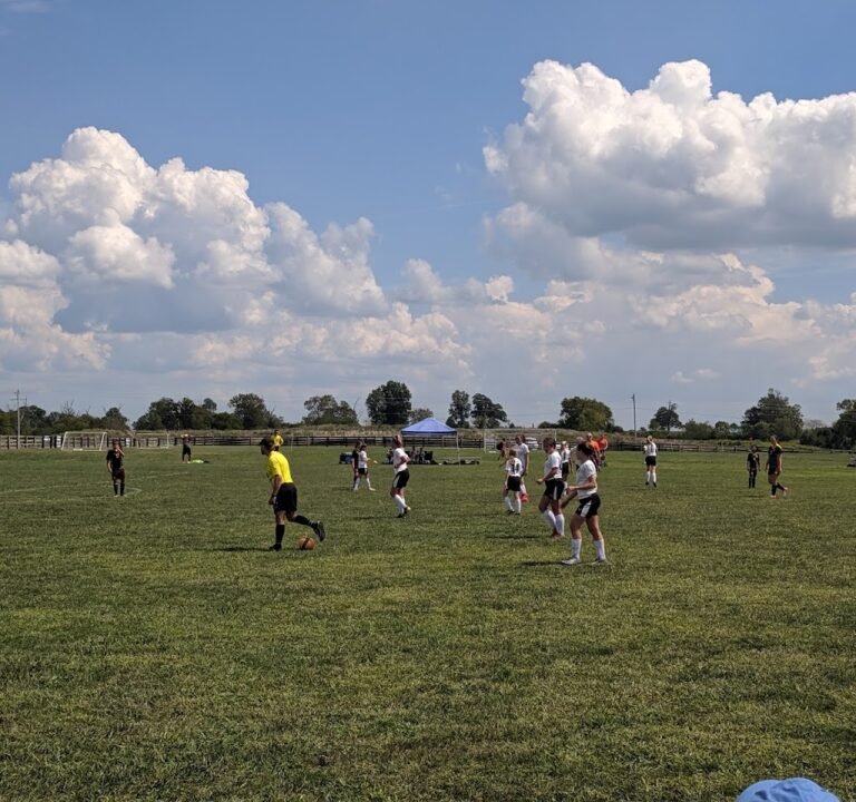 Soccer Field image 2