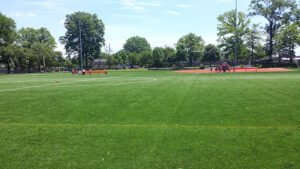 Soccer Field image 1
