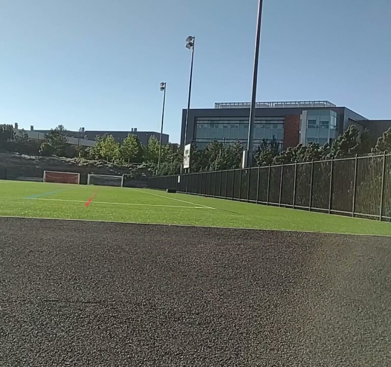 Soccer Field image 3