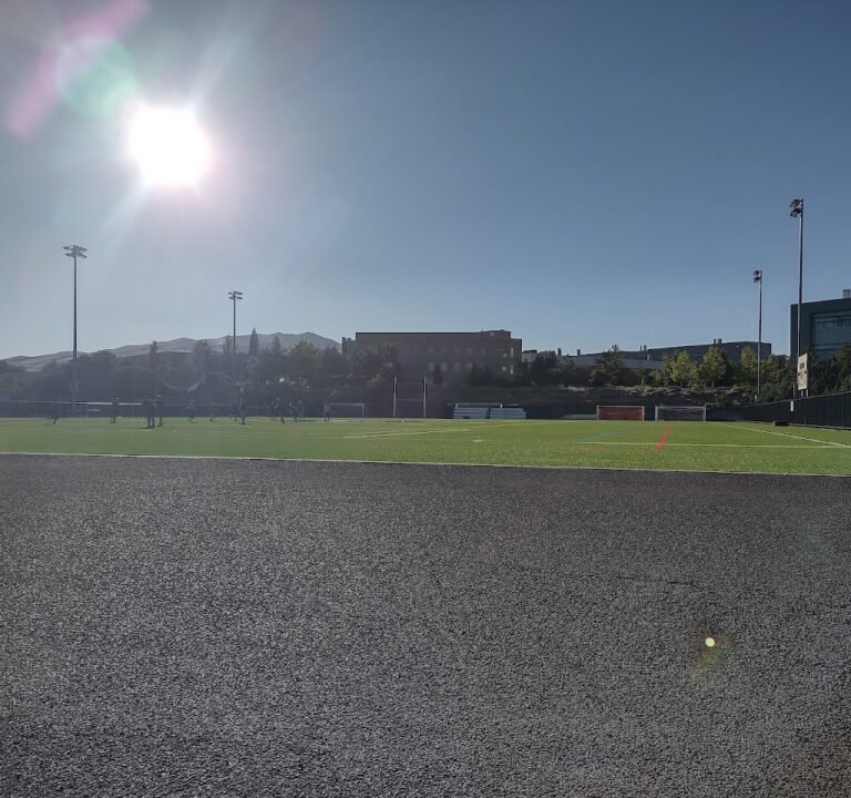 Soccer Field image 2