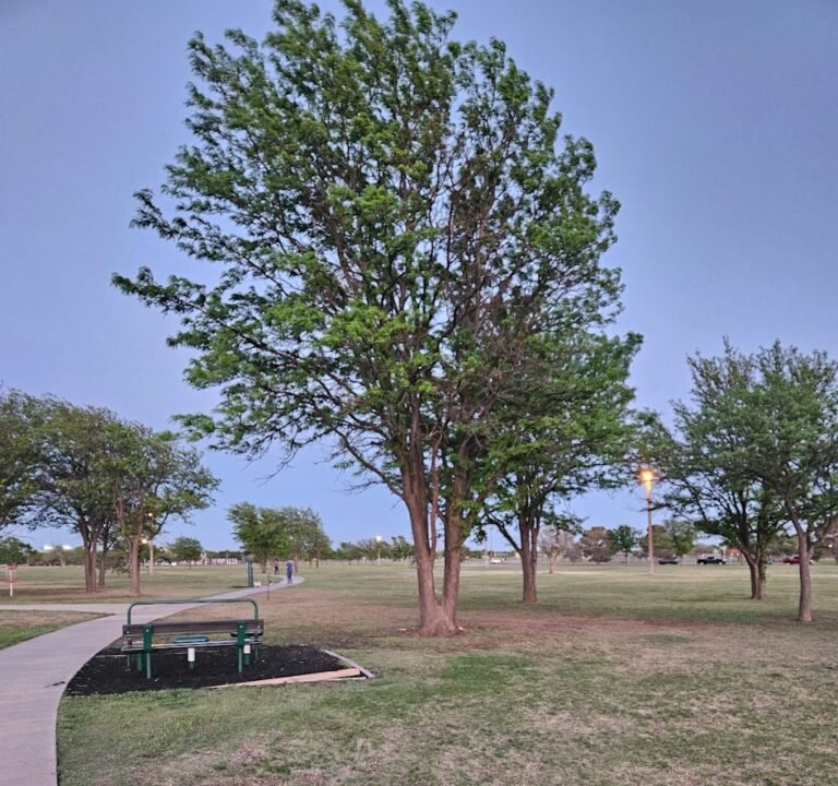 Soccer Field image 2