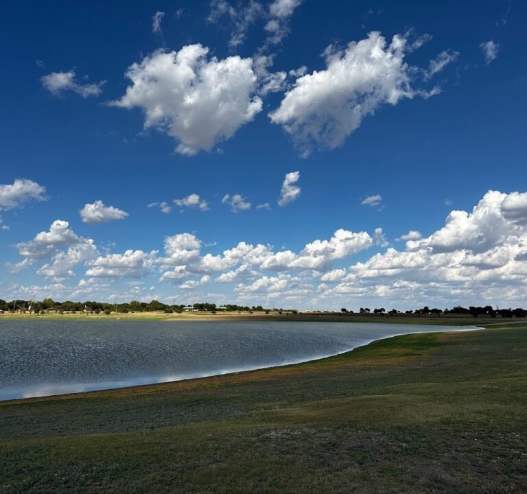 Soccer Field image 2