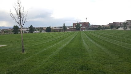 Soccer Field image 1